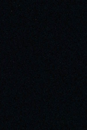 ‘Bubalu’_Feid_Rema