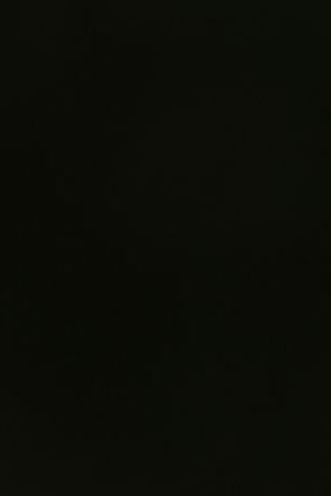 SPARTANBURG, SOUTH CAROLINA - JULY 27: Matt Corral #2 of the Carolina Panthers attends Carolina Panthers Training Camp at Wofford College on July 27, 2023 in Spartanburg, South Carolina. (Photo by Jared C. Tilton/Getty Images)