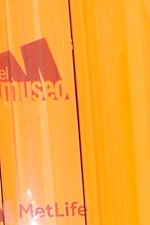 NEW YORK, NY - MAY 11: Nancy González attends the El Museo Gala 2017 at The Plaza Hotel on May 11, 2017 in New York City. (Photo by Rabbani and Solimene Photography/Getty Images)