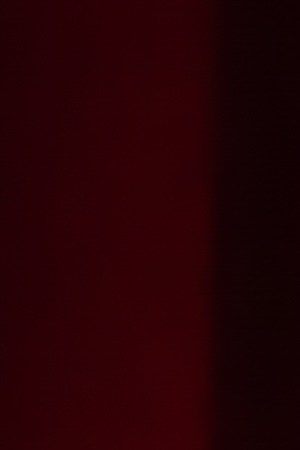 Ralph Barbosa - Cowabunga 1 - Photo Credit - Barry John