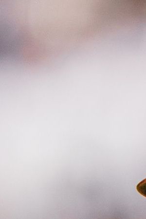 ATLANTA, GA - SEPTEMBER 10: Ronald Acuña Jr. #13 of the Atlanta Braves celebrates after hitting an RBI single in the seventh inning against the Pittsburgh Pirates at Truist Park on September 10, 2023 in Atlanta, Georgia. (Photo by Matthew Grimes Jr./Atlanta Braves/Getty Images)