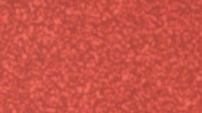 HOLLYWOOD, CALIFORNIA - AUGUST 10: Xochitl Gomez attends Variety Power of Young Hollywood at NeueHouse Los Angeles on August 10, 2023 in Hollywood, California. (Photo by Rodin Eckenroth/FilmMagic)