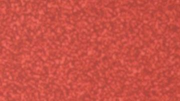 HOLLYWOOD, CALIFORNIA - AUGUST 10: Xochitl Gomez attends Variety Power of Young Hollywood at NeueHouse Los Angeles on August 10, 2023 in Hollywood, California. (Photo by Rodin Eckenroth/FilmMagic)