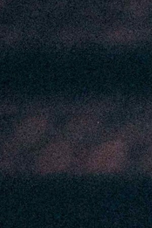 Letón Pé_'Rojo Rubí'