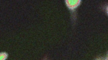 header-fan-artist-relationships