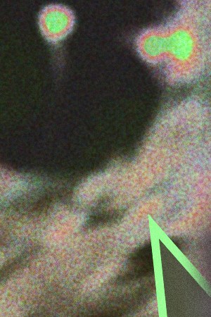 header-fan-artist-relationships