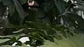 Miss Argentina 2023 Yamile Dajud