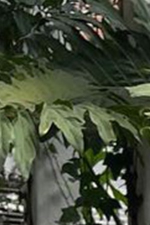 Miss Argentina 2023 Yamile Dajud