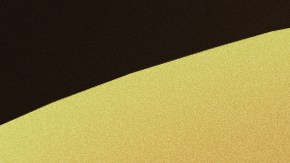 Border patrol dog Yoda that caught Danelo Cavalcante