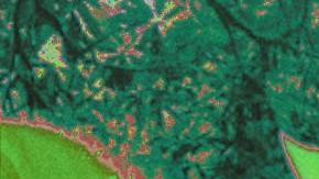 Art by Alan López for Remezcla