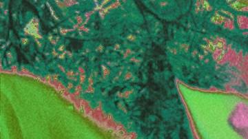 Art by Alan López for Remezcla