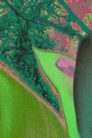 Art by Alan López for Remezcla