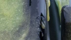 Ana Yi Puig in Goosebumps Reboot