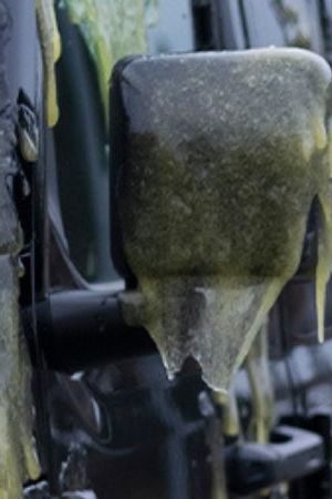 Ana Yi Puig in Goosebumps Reboot