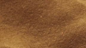 Bad Bunny Response CL sneakers for adidas in the sand