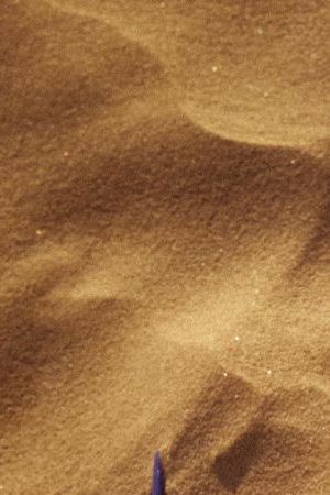 Bad Bunny Response CL sneakers for adidas in the sand