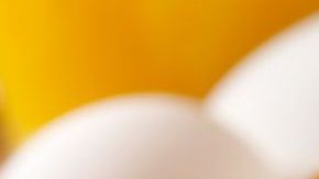 Soft Breakfast Taco with Scrambled Eggs, Sausage,Peppers and Cheddar Cheese - Photographed on Hasselblad H3D2-39mb Camera