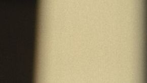 Colman Domingo as Bayard Rustin