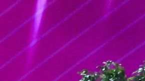 PESARO, ITALY - 2022/06/05: Mexico group team during the Rhythmic Gymnastics FIG World Cup 2022 Pesaro at Vitrifrigo Arena, Pesaro. (Photo by Fabrizio Carabelli/SOPA Images/LightRocket via Getty Images)