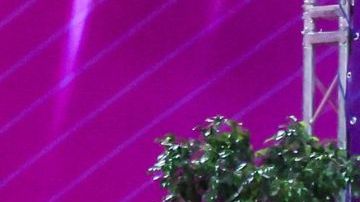 PESARO, ITALY - 2022/06/05: Mexico group team during the Rhythmic Gymnastics FIG World Cup 2022 Pesaro at Vitrifrigo Arena, Pesaro. (Photo by Fabrizio Carabelli/SOPA Images/LightRocket via Getty Images)