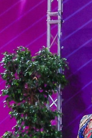 PESARO, ITALY - 2022/06/05: Mexico group team during the Rhythmic Gymnastics FIG World Cup 2022 Pesaro at Vitrifrigo Arena, Pesaro. (Photo by Fabrizio Carabelli/SOPA Images/LightRocket via Getty Images)