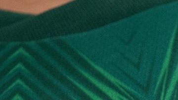 LUSAIL CITY, QATAR - NOVEMBER 26: A close up view of a fan's Mexico jersey during the FIFA World Cup Qatar 2022 Group C match between Argentina and Mexico at Lusail Stadium on November 26, 2022 in Lusail City, Qatar. Mexico's team is often referred to as El Tri (Photo by Visionhaus/Getty Images)