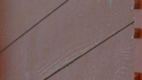 Paddington bear in second movie