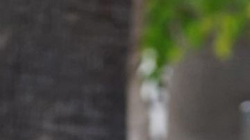 LOS ANGELES, CA - SEPTEMBER 26: Pedro Pascal is seen on the SAG-AFTRA picket line on September 26, 2023 in Los Angeles, California. (Photo by JOCE/Bauer-Griffin/GC Images)
