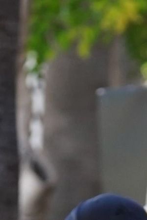 LOS ANGELES, CA - SEPTEMBER 26: Pedro Pascal is seen on the SAG-AFTRA picket line on September 26, 2023 in Los Angeles, California. (Photo by JOCE/Bauer-Griffin/GC Images)