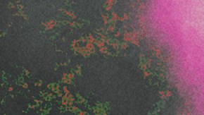 Art by Alan López for Remezcla