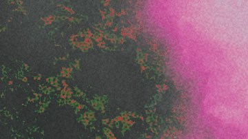 Art by Alan López for Remezcla