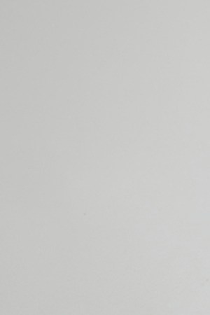 Feid_‘Ferxxo 100’