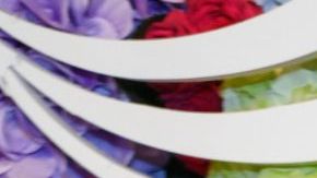 NEW YORK, NEW YORK - FEBRUARY 27: Ana Nogueira attends the 66th Obie Awards Honoring Excellence In Off- And Off Off- Broadway at Terminal 5 on February 27, 2023 in New York City. (Photo by Jenny Anderson/Getty Images for American Theatre Wing)