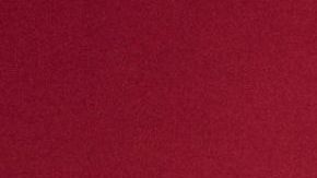 Nikki and Brie Garcia aka The Bella Twins