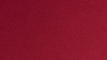 Nikki and Brie Garcia aka The Bella Twins