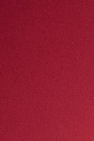 Nikki and Brie Garcia aka The Bella Twins