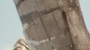 Movimiento_De La Calle