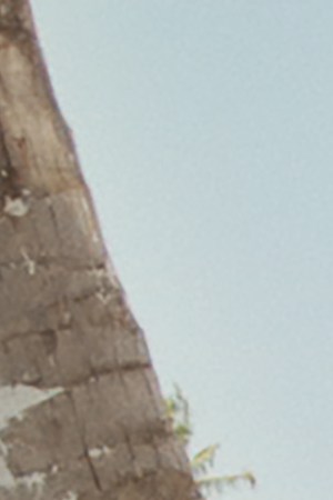 Movimiento_De La Calle