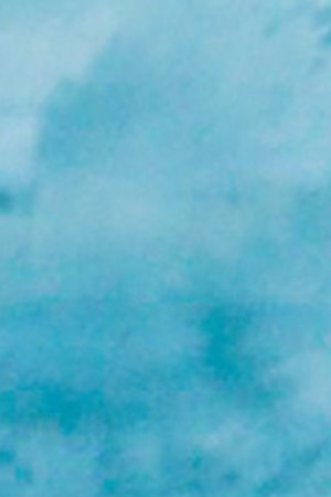 Eugenio Derbez in Radical