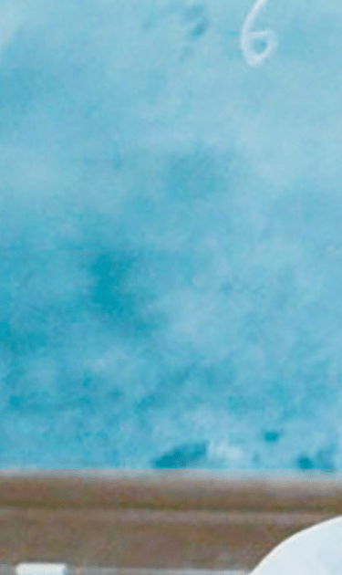 Eugenio Derbez in Radical