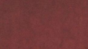 LOS ANGELES, CALIFORNIA - OCTOBER 16: Rodrigo Prieto attends Apple TV+'s "Killers Of The Flower Moon" premiere at Dolby Theatre on October 16, 2023 in Los Angeles, California. (Photo by Frazer Harrison/Getty Images)