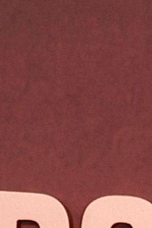 LOS ANGELES, CALIFORNIA - OCTOBER 16: Rodrigo Prieto attends Apple TV+'s "Killers Of The Flower Moon" premiere at Dolby Theatre on October 16, 2023 in Los Angeles, California. (Photo by Frazer Harrison/Getty Images)