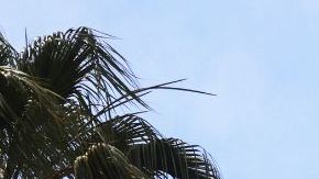 LOS ANGELES, CALIFORNIA - APRIL 14: The Univision logo is posted atop the Univision building a day after the company announced plans to merge with Grupo Televisa on April 14, 2021 in Los Angeles, California. Mexican Televisa and US Hispanic Univision, two of the biggest Spanish speaking media companies, announced yesterday they will join forces to compete in the regional streaming market. The merger will include assets and content of the two giants to gain production capacity and share in the growing Hispanic market. (Photo by Mario Tama/Getty Images)