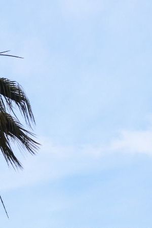 LOS ANGELES, CALIFORNIA - APRIL 14: The Univision logo is posted atop the Univision building a day after the company announced plans to merge with Grupo Televisa on April 14, 2021 in Los Angeles, California. Mexican Televisa and US Hispanic Univision, two of the biggest Spanish speaking media companies, announced yesterday they will join forces to compete in the regional streaming market. The merger will include assets and content of the two giants to gain production capacity and share in the growing Hispanic market. (Photo by Mario Tama/Getty Images)