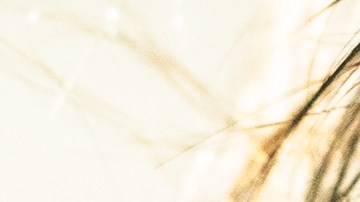 Juanes_Vida Cotidiana