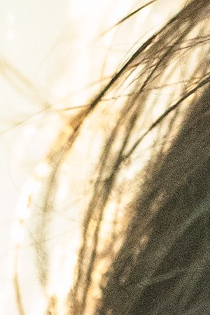 Juanes_Vida Cotidiana