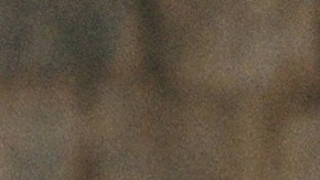 Nicki Nicole_Bad Gyal_‘Enamórate’