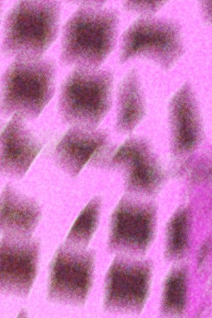 Art by Stephany Torres for Remezcla