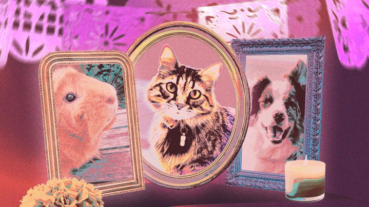 Art by Stephany Torres for Remezcla