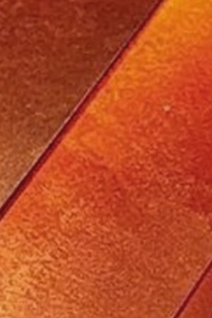 Mariana Varela, Miss Argentina and Fabiola Valentín, Miss Puerto Rico